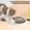 Άμμος για γάτες μεγάλης χωρητικότητας – Φορητή και αντιολισθητική 3