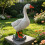 Schattig oranje snavelwatervogelstandbeeld waterdicht 6