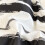 Gestreept polyester beddengoedset, 4-delig, 180x220 cm 5