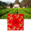 Dahongpao-Teeblätter, 126 g, in Geschenkbox 4