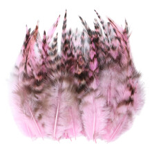 100Pcs Elegant Chicken Plumage For Wedding Decoration And-Pink