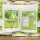 Getrocknete Kräuter-Soursop-Blätter Soursop-Graviola-Teeblätter 3