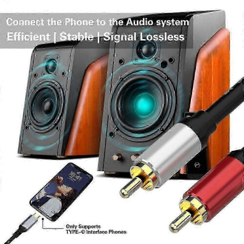 Type C to 2RCA Stereo Audio Cable for HiFi Sound System 1