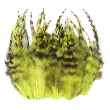 Paquet de 100 plumages de poulet pour l'artisanat et la-Jaune