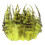 100Pcs Natural Chicken Plumage for Stage Performances-Yellow 1