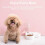 1-i-1 automatisk foder- og vandfontæne til kæledyr, vandautomat med anti-overløb og foderautomat med tørfoder 2