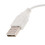 Slim USB Optical Wired Mouse for PC, Laptop, Windows, and Macbook 2