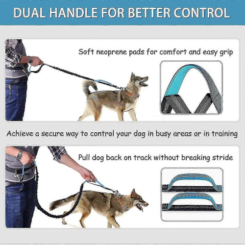 Reflective Jogging Leash for Dogs - Adjustable Bungee Retractable Design with Hip Belt 2