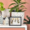 Double Sided Glass Wooden Display Frame Specimen Picture Frame 3