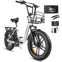 Samebike C05 Pro 250W Electric Bike 48V 13AH City E-bike 20'' Fat tyre