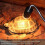 5-Pack 50W UVA UVB Reptile Bulbs for Basking and UV Lighting Solutions 2