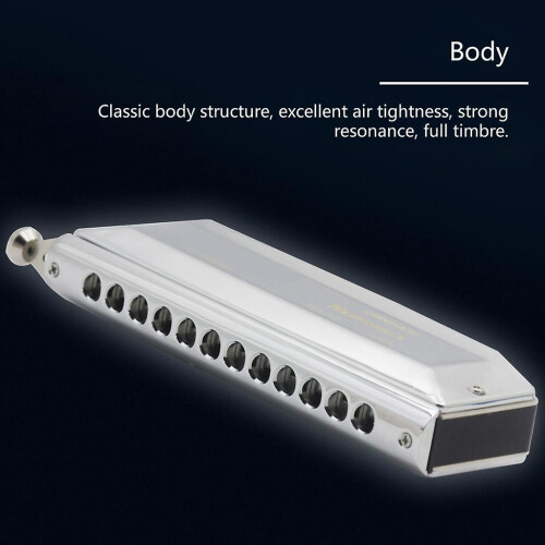 12 Hole 48 Tones Chromatic Harmonica Mouth Organ Harmonica Easy-playing 2