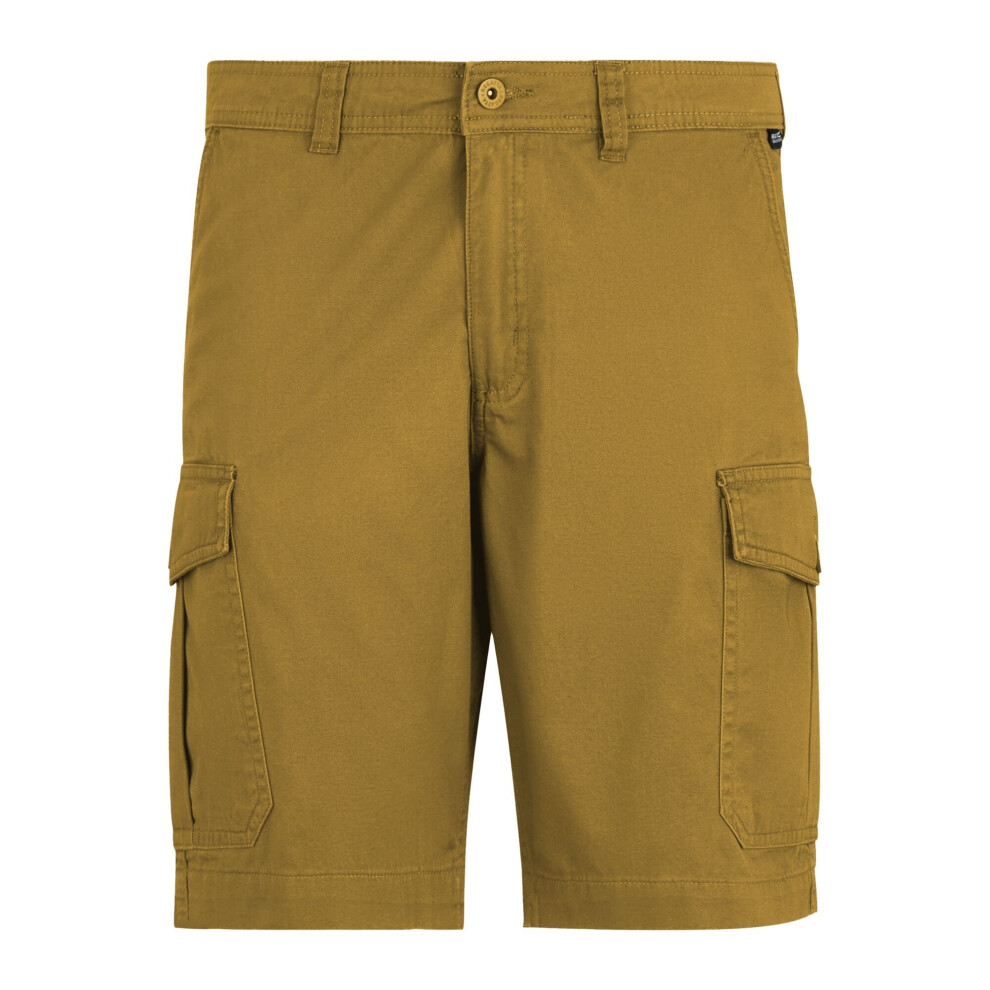 Regatta (34R, Wood Brown) Mens Ruwan Casual Shorts