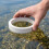 3Pcs Small White Floating Feeding Rings for Betta Fish and Pond 9