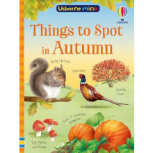 Things to Spot in Autumn by Simon Tudhope Paperback Book