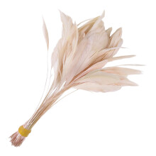 50Pcs 4-6Inch Assorted Color Feather For Halloween-Champagne
