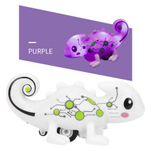Educational Induction Dinosaur Drawing Set