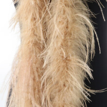 Ostriches Plumage Trim Shawl For Wedding Dresses And-bactrian