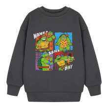 (3-4 Years, Charcoal) Teenage Mutant Ninja Turtles Boys Have A Slice Day Sweatshirt