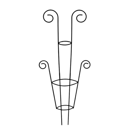 Cadre de support grimpant pour plantes en fer, pour fleurs-Noir