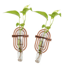 Plastic reageerbuis plantenbak muurterrarium voor-MS8264
