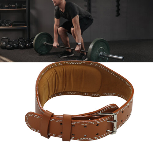 Waist Support Belt for Weight Training