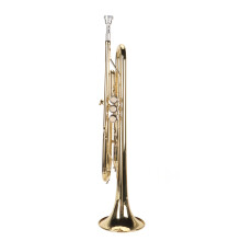 Gold Brass Bb Trumpet Nickel Plated Set