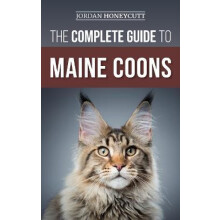 The Complete Guide to Maine Coons Finding Preparing for Feeding Traini