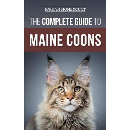 The Complete Guide to Maine Coons Finding Preparing for Feeding Traini