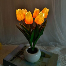 Lampe LED tulipe 2 en 1 avec vase en céramique — Décoration pour la maison, le bureau, le salon et la chambre