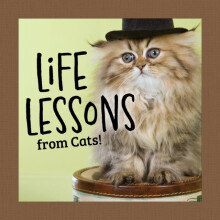 Life Lessons from Cats by Grace Peterson Hardcover Book