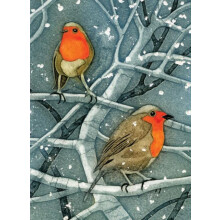 Wild Birds Pocket Notebook Robin by Sarah RossThompson Other Book