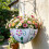 Decorative Iron Hanging Planter Unique Umbrella Shape Flower 4
