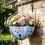 Decorative Iron Hanging Planter Unique Umbrella Shape Flower 5