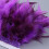 Assorted Dyed Plumage For Sewing And Crafting Ideal For-012 6