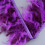 Assorted Dyed Plumage For Sewing And Crafting Ideal For-012 7