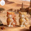 Charm Cats Shape Candle Making Tool met stevige constructie en 2