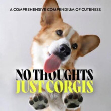 No Thoughts Just Corgis by Union Square Co. Hardcover Book