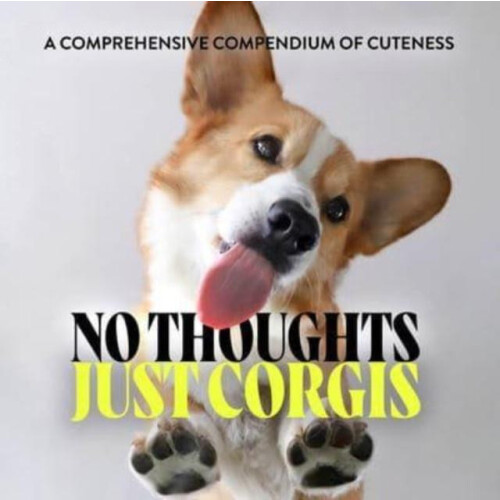 No Thoughts Just Corgis by Union Square Co. Hardcover Book