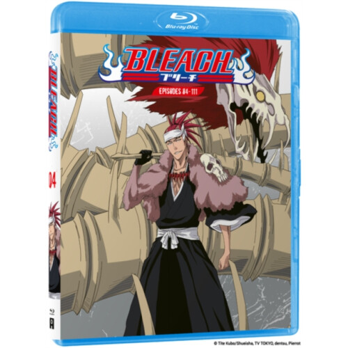 Bleach Vol. 4 - Std