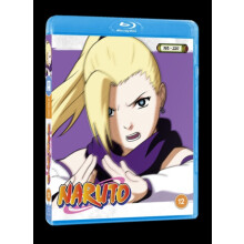 Naruto - Standard Edition Vol. 8