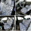 12Pcs Zebra Pattern Car Interior Set 1
