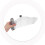 Acrylic Saw Protective Shields For Circular Saws 1 Set 7