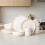 12-Piece Matte Glaze Stoneware Dinnerware Set 1