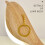 Magpie Aromatherapy Lamp Cute Bird Light 3 Colour 1