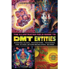 Illustrated Field Guide to DMT Entities by Sara Phinn Huntley Paperbac