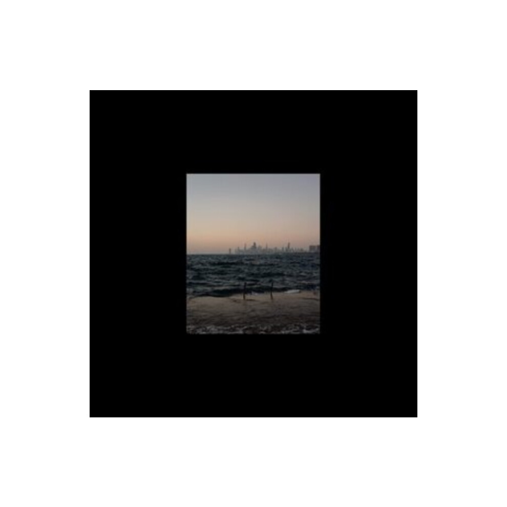 Window In