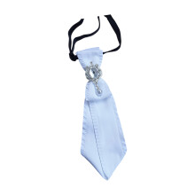 Verstelbare nekband met ruches en strassdetails Decoratieve-Wit