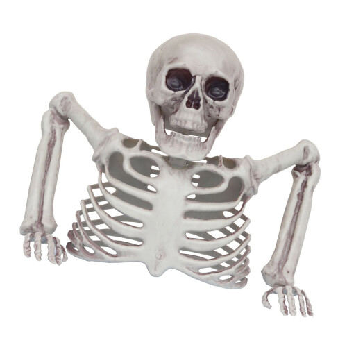 Figurine de squelette en plastique facile à assembler,-UN