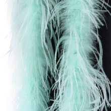 Natural Ostriches Plumage Trim Scarf For Fashion-Mint Green